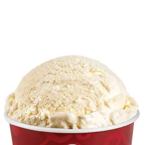 HONEY MAID® Graham Cracker Ice Cream